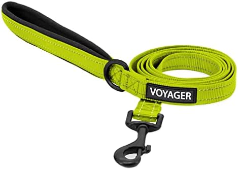 Best Pet Supplies Voyager Nylon Dog Leash - Lime Green, Small by BestPetSuppliesLLC