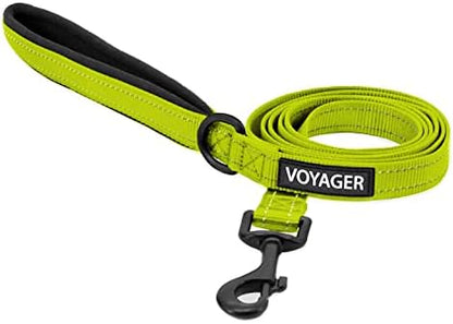 Best Pet Supplies Voyager Nylon Dog Leash - Lime Green, Small by BestPetSuppliesLLC