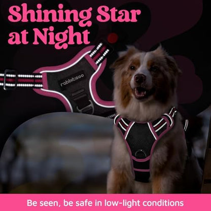 rabbitgoo Dog Harness Small Sized, No Pull 3 Buckles Easy On & Off - Image 6
