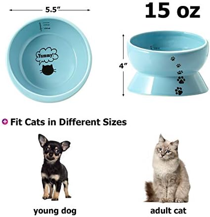 Y YHY Ceramic 15 Ounce Slanted Cat Food Water Bowl, Lake Blue - Image 2