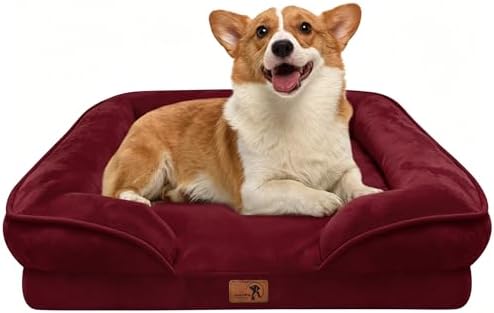Spotted Play Orthopedic Dog Bed with Sides - Sofa Beds for Medium Dogs, Supportive Foam Pet Couch Bed with Washable Removable Cover, Waterproof Lining and Non-Slip Bottom, Burgundy - M by Spotted+Play