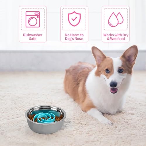 Slow Feeder Dog Bowls Insert, Bestalk Soft Silicone Slow Eating Feeder Insert with Suction Cups for Small, Medium and Large Dogs, Fit into Basic and Elevated Dog Bowls, Teal - Image 5