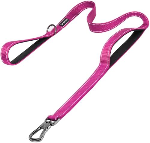 PetiFine 6FT Heavy Duty Dog Leash with Soft Padded Double Handle by PetiFine