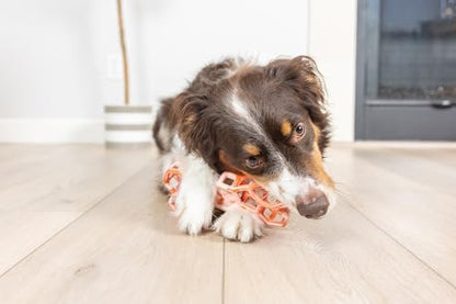 Chuckit! Holee Roller Dog Treat Puzzle Bone, Large, Orange – Interactive Treat & Chew Puzzle Toy for Dogs 60–100 lb – Durable Rubber Bone‑Shaped Fetch Toy for Mental Stimulation – Pack of 1 - Image 4