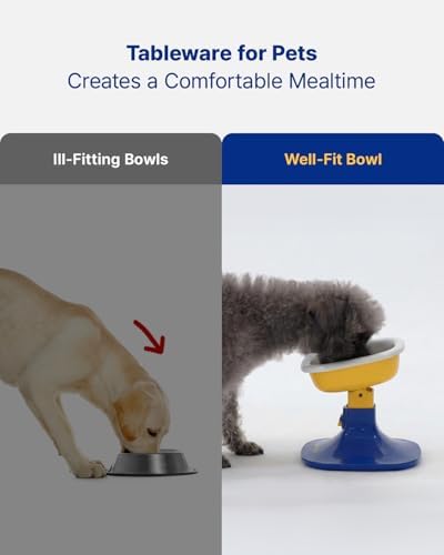 PETHROOM Well Fit Dog Bowl, Durable Ceramic Cat & Dog Food and Water Bowl - Image 4