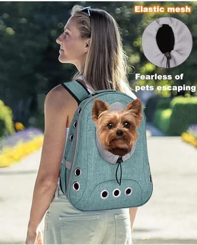 Small Dog Cat Chest Backpack Carrier,Large Space Ventilated Front Facing Backpack Carrier for Puppy,Lightweight Doggy Backpack for Hiking,Camping,Travel,Outdoor,Max 12 lbs(Cyan) - Image 4