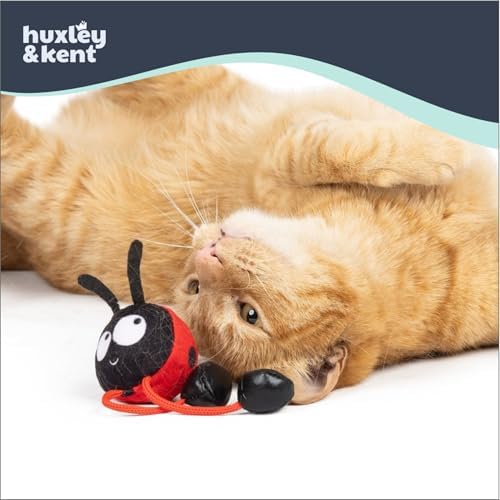 Huxley & Kent Chirpy Interactive Catnip Cat Toy, Ladybug - Image 3