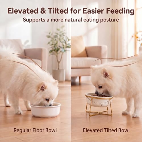 White Small Ceramic Tilted Elevated Cat Dog Bowl Raised Cat Food Water Bowl Dish Pet Comfort Feeding Bowls with Gold Iron Stand - Image 4