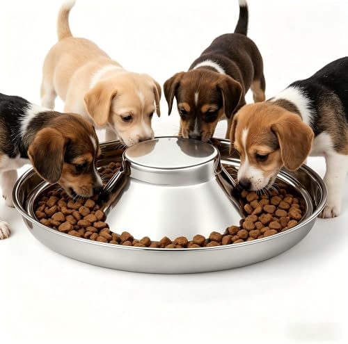 Stainless Steel Multi-Pet Feeding Bowl for Small Medium Large Dogs & Cats by Unknown