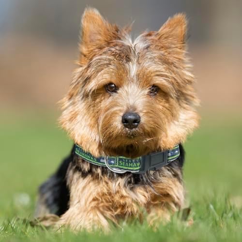 Pets First NFL Seattle Seahawks Licensed PET COLLAR, Extra Large - Heavy-Duty, Strong, and Durable Dog Collar. Available in 31 Football Teams and 4 Sizes - Image 3
