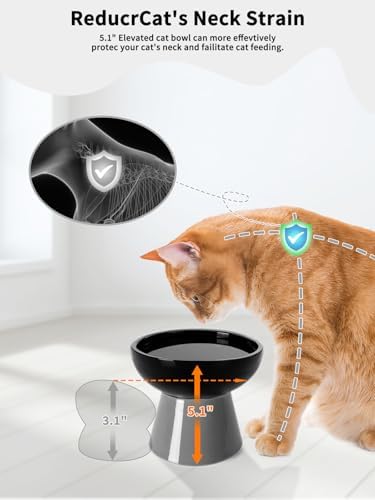 LoeJan Elevated Cat Food and Water Bowls Set, Extra Wide and Raised Ceramic Feeder, Anti-Vomit Whisker-Free Pressure Feeding Bowl for Kittens Adult Small Dogs (Black) - Image 3