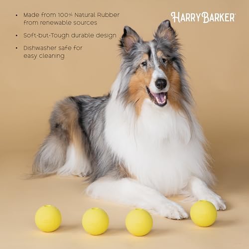 Harry Barker Rubber Balls and Rubber Chew Stick for Dogs - Image 2
