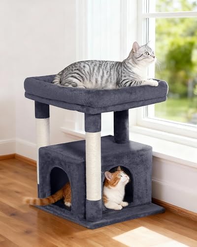 23.6" Cat Tree for Large Cat, 19 * 15.8 in Large Perch, Dark Gray - Image 6