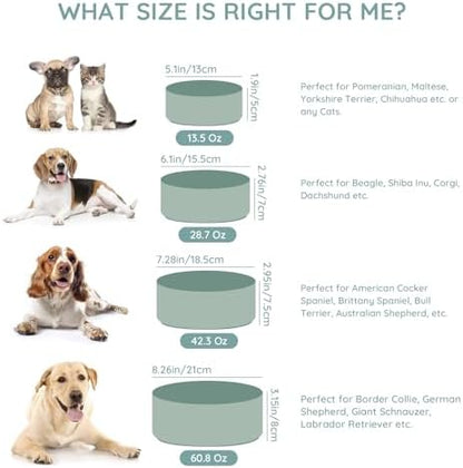 SPUNKYJUNKY 28.7OZ Ceramic Dog and Cat Bowl, Modern Cute Weighted Food Water Bowl for Replacement Morandi Green (2 Pack) - Image 6