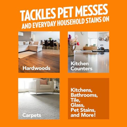OUT! PetCare Orange Oxy Stain & Odor Remover | Oxy Clean Pet Stain and Odor Eliminator | 32 oz (Pack of 2) - Image 3