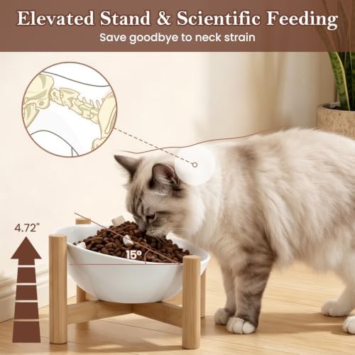15° Slanted Rim Ceramic Cat Bowl, Anti-Spill for Small Cats,White - Image 3