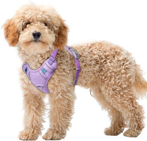 BARKBAY Dog Harness for Small Sized Dog No Pull Dog Vest ID Tag Pocket by BARKBAY
