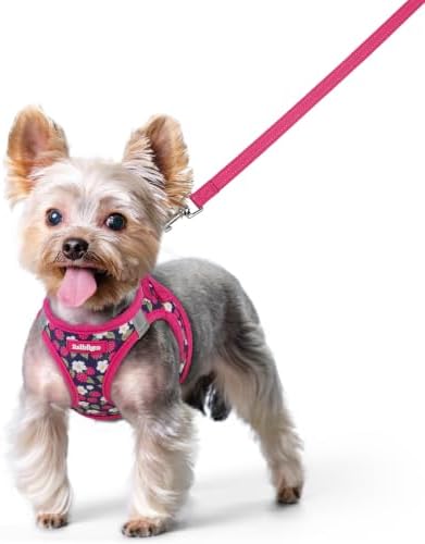 rabbitgoo Dog Harness Small Sized and Leash Set, Step-in Puppy Pet Vest by rabbitgoo