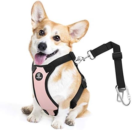 VavoPaw Dog Seat Belt Vest Harness for Car, 2 in 1 Seatbelt Buckle by VavoPaw