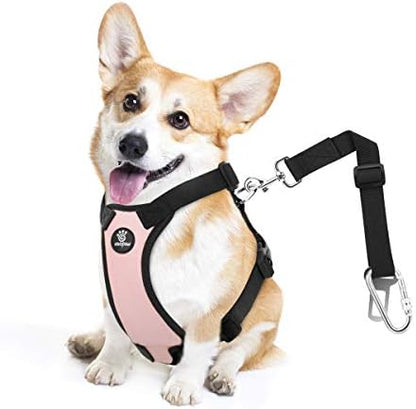 VavoPaw Dog Seat Belt Vest Harness for Car, 2 in 1 Seatbelt Buckle by VavoPaw