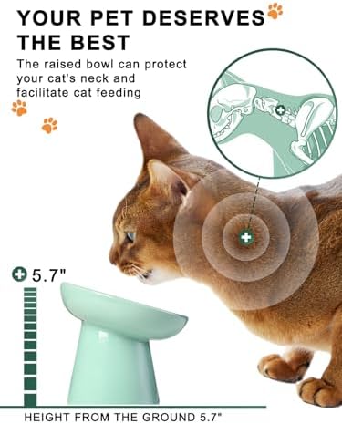 Y YHY Slow Feeder Cat Bowl, Ceramic Cat Slow Feeder Bowl, 6 Inches, Elevated, Anti Vomiting for Dry and Wet Food, Green - Image 4