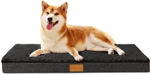 Patas Lague Orthopedic Medium Dog Bed Washable Pet Sofa Mat 30''X20''Black by PatasLague
