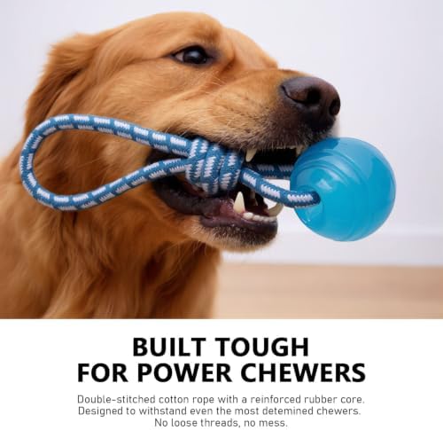 MECOOL 2PCS Dog Chew Toys Set - Tug of War Rope Ball & Flexible Rubber Puller, Interactive Teething Toys for Aggressive Chewers, Pet Training Toys for Medium Large Dogs,Bacon Flavored - Image 2