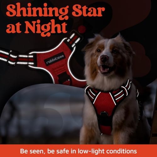 rabbitgoo Dog Harness for Large, No Pull 3 Buckles Easy On & Off - Image 6