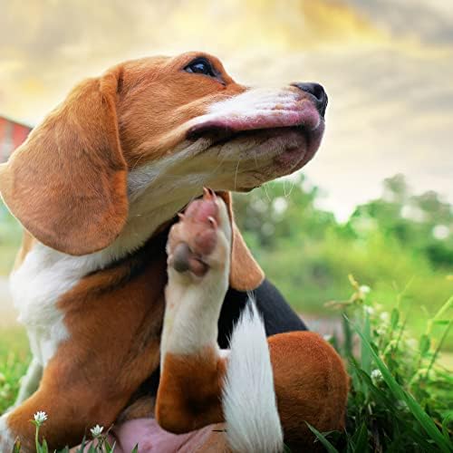 Pet MD Topical Wipes for Dogs and Cats - 100 Count - Image 3