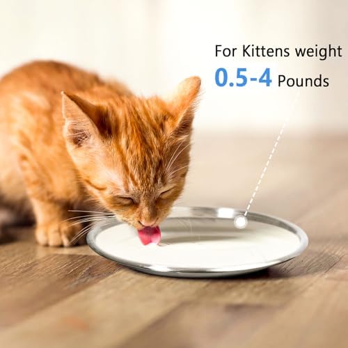 Stainless Steel Cat Dishes for Food and Water Bowls for Kittens and Baby Cats Small Pets Relief of Whisker Fatigue -2 Sets Shallow Style - Image 2