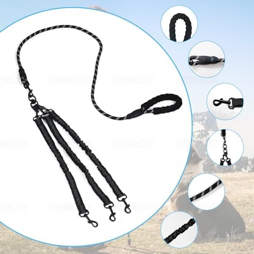 Dog Double Leashes,5-Dog Rope Bungee Double Leash - Tangle-Free Design with Padded Handle, 360° Swivel Control & Removable Feature for Walking Multiple Dogs - Image 3