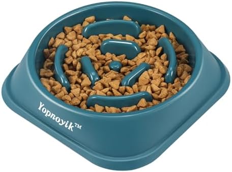 Slow Feeder Dog Bowls for Medium Dogs & Cats by Yopnoyik