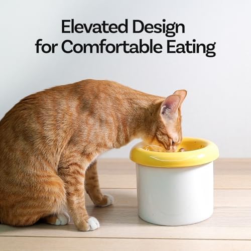 Donut Bowl Elevated Ceramic Cat Bowl with Stand, Raised Whisker-Friendly Bowl for Cats & Small Dogs, Patented Donut Design, Made in Korea (3.9" H -Gray) - Image 2