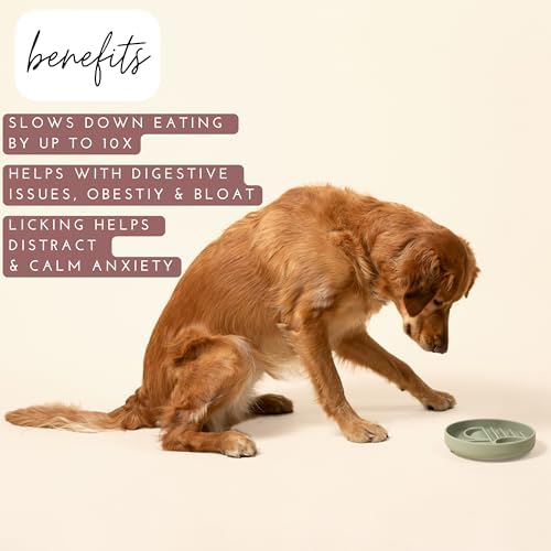Slow Feeder Dog Bowl - Silicone Dog Bowl, Medium, 7.5" x 1.5" - Sage - Image 3