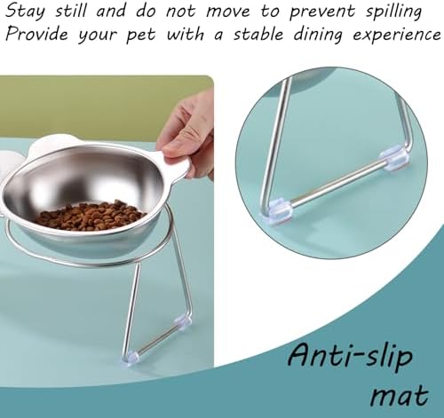 2 Pack Elevated Pet Bowls for Small Cats and Dogs 15° Tilted - Image 4