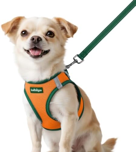 rabbitgoo Dog Harness Small Sized and Leash Set, Step in Soft Vest by rabbitgoo