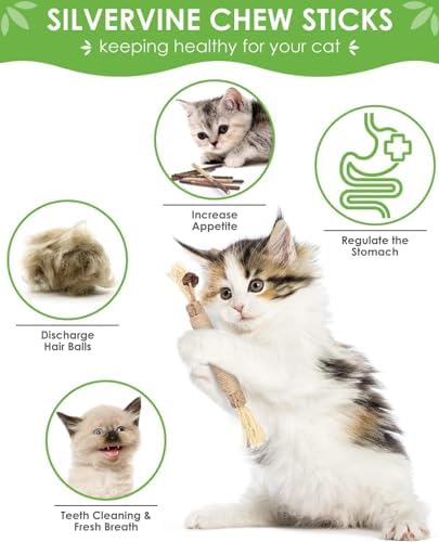 8Pack Silvervine Sticks for Cats Natural Dental Chew Catnip Toys, Teeth Cleaning & Gum Care, Kitten-Safe Indoor Cat Treat - Image 5