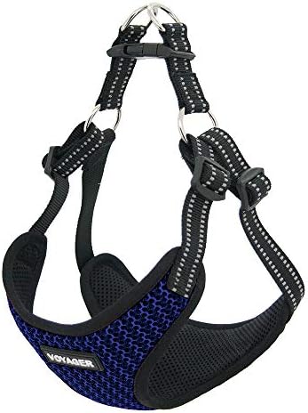 Voyager Step-in Flex Adjustable Dog Harness - Baby Blue, X-Large - Image 3