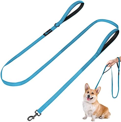 Dog Leash for Small to Medium Dogs 6 ft with 3 Reflective Stitching and 2 Traffic Padded Handles Dog Lead/Rope, Pet Leash for Running Walking Training (6 ft x 0.6 in - Blue 1 Pack) by PuppyDoggy