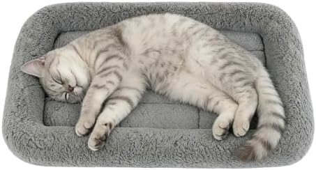 LESYPET Cat Bed for Indoor Cats, Cat Bed Curl Sleep Cushion with Raised Pillow Around, Washable Pet Mat for Cat/Rabbit/Dog, 16" x 22" by LESYPET