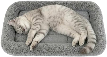LESYPET Cat Bed for Indoor Cats, Cat Bed Curl Sleep Cushion with Raised Pillow Around, Washable Pet Mat for Cat/Rabbit/Dog, 16" x 22" by LESYPET