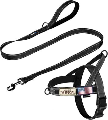 Annchwool No Pull Dog Harness with Padded Handle+5 Ft Leash,Reflective Strip Escape Proof and Quick Fit to Adjust Dog Harness,Easy for Training Walking for Small & Medium and Large Dogs(Black-Set,XL) by Annchwool