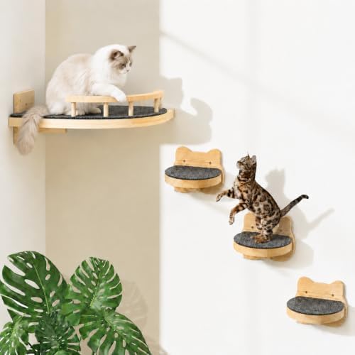 LSCQYYCC- Cat Wall Shelves, Cat Shelf with 3Wide Perch Steps, Modern Floating Cats Stairs for Indoor Sleeping, Playing, Climbing by Unknown
