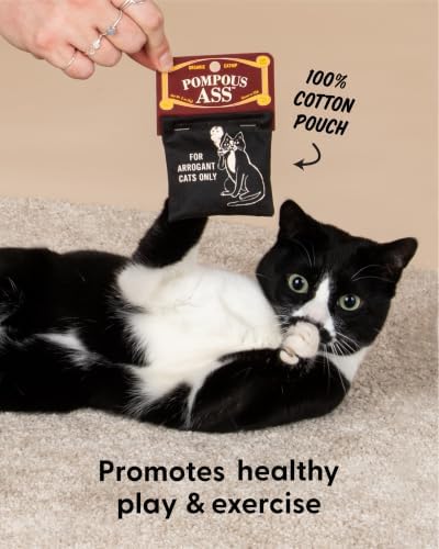 Blue Q Catnip - Cute Cat Toys for Biting w/Funny Graphics - Pompous. - Image 5