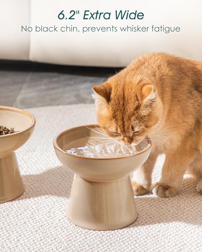 vancasso 2-Pack Extra Wide Elevated Cat Bowls, Ceramic Raised Cat Bowls - Image 4