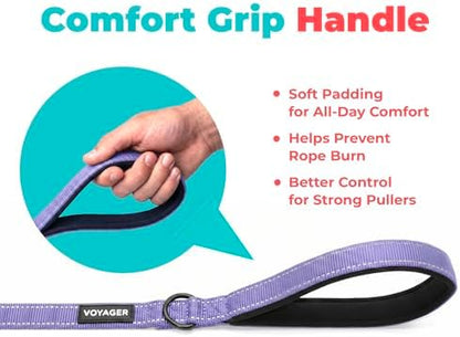 Best Pet Supplies Voyager Nylon Dog Leash - Lavender, Medium - Image 5