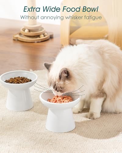 vancasso 2-Pack Elevated Cat Food Bowls, 6.2" Wide Shallow Cat Feeding Dish - Image 4