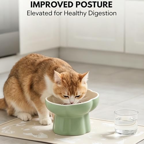 Ceramic Elevated Slow Feeder Cat Bowl, Whisker Friendly Dish 5.7" - Image 4