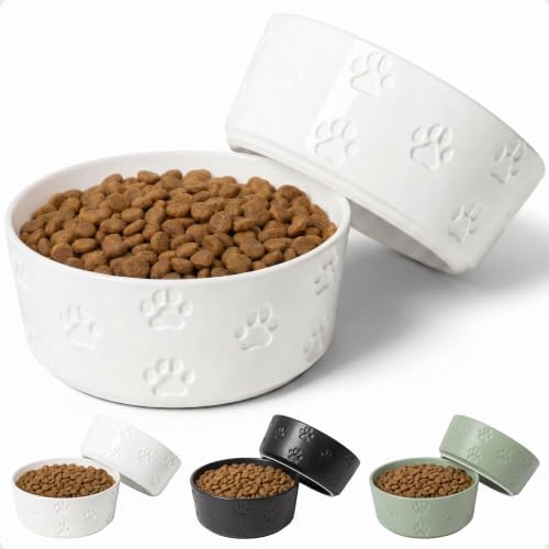 Ceramic Dog Bowl Set of 2 with Anti-Skid Base 7.5" W x 3" H, 6 Cup Capacity by HBDesignCo