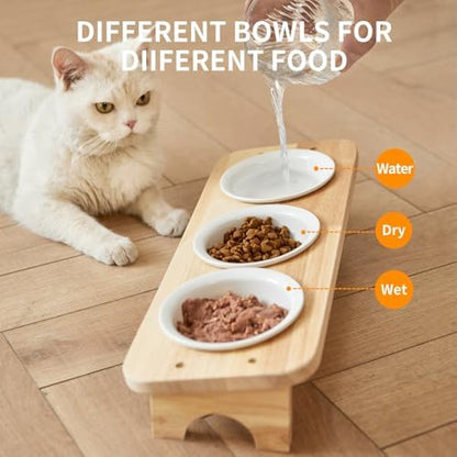Elevated Cat Food Bowl, 3 Ceramic Raised Cat Basic Bowls with Stand, 15°Tilted Cat Bowl for Indoor Cats, Water Bowl Set,Dishwasher Safe(Large) - Image 3